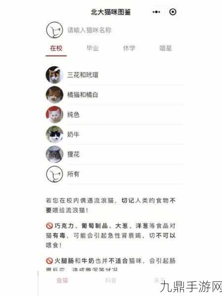 猫咪和汤，微信小程序数据能否无缝迁移至APP？