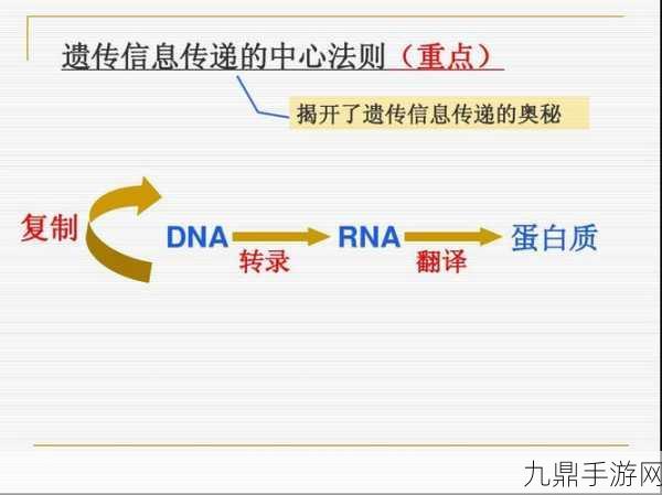 最后的原始人深度解析，元素克制关系的策略奥秘