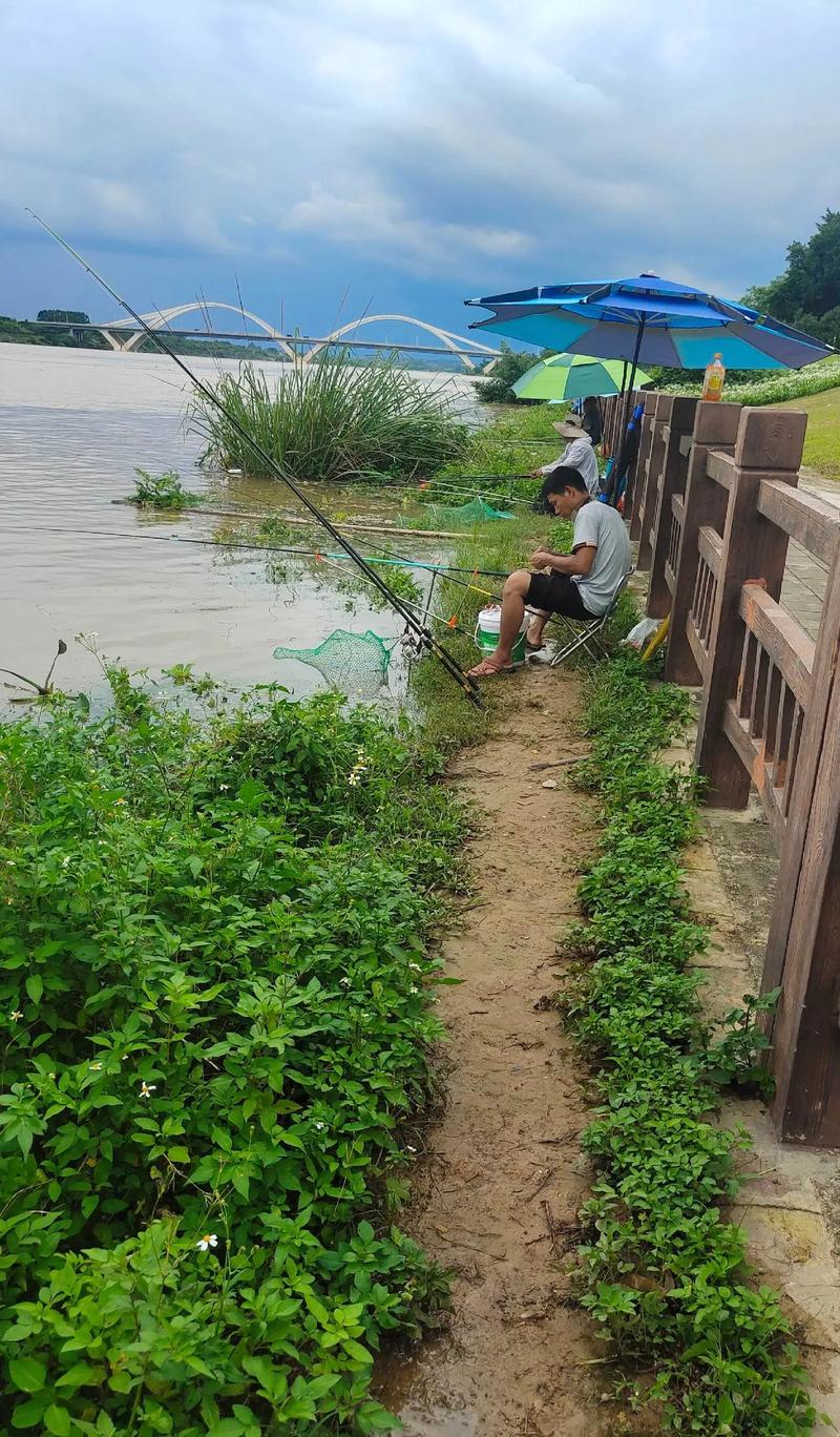 畅玩<我的钓鱼生活>破解版，开启剧情挑战冒险之旅