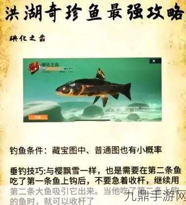 欢乐钓鱼大师洪湖，揭秘最后两条鱼的神秘踪迹