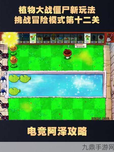 植物大战僵尸冒险模式第12关，策略与勇气的双重考验