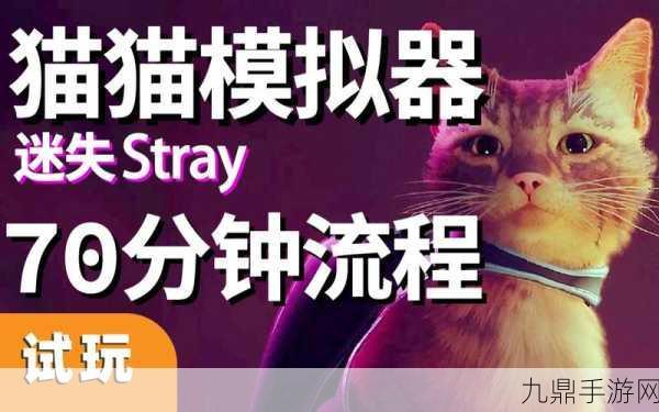 猫猫迷失超超变安卓版，最佳战斗技巧全揭秘