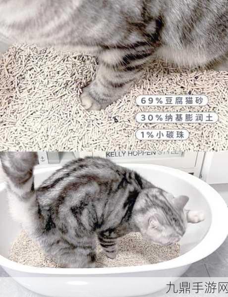 征服世界的可爱猫咪，猫猫养成秘籍