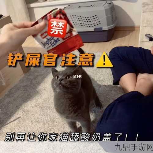 小猫咪大城市冒险，解锁此处禁停成就秘籍