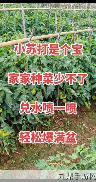 成为种菜大师，畅玩虚拟种植世界