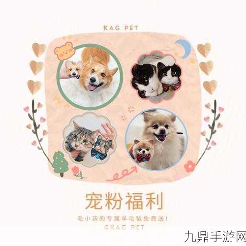 猫咪时间红包版，养猫赚红包，福利满满等你来