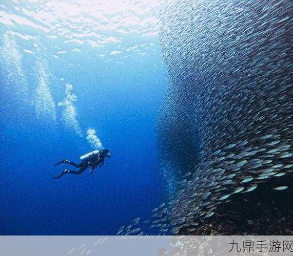 TitanicoUnderwater，极致潜水探索之旅