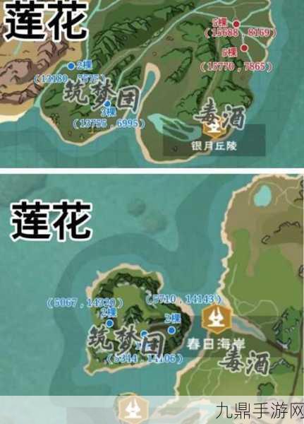 探索创造与魔法龙树岛，揭秘符文宝箱位置图