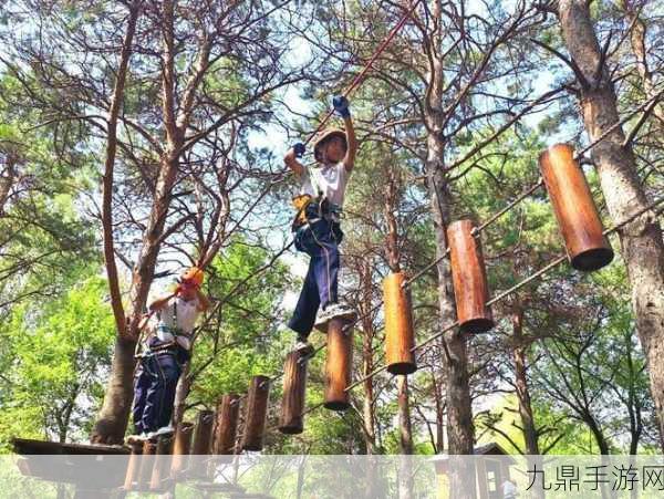 畅玩森林俱乐部，开启欢乐益智之旅