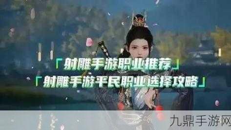 射雕手游职业切换全攻略，轻松玩转多样角色