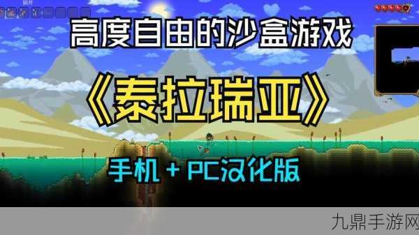 泰拉瑞亚正版游戏盛宴，探索无限创意的耐玩之旅