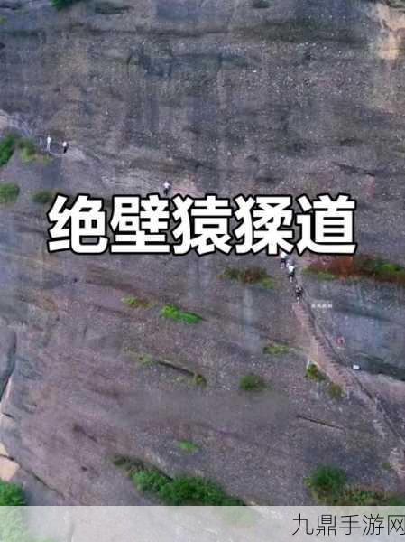 挑战极限！悬崖峭壁游戏——模拟建造的全新体验