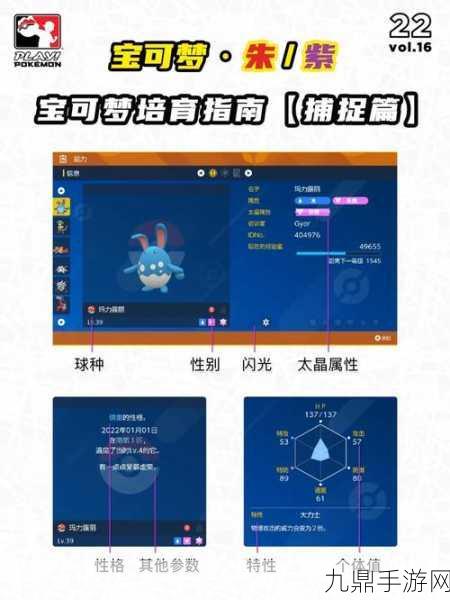 宝可梦TCGP新手指南，解锁收集与对战新境界