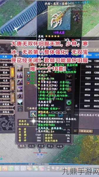 大唐无双新手启程，全面掌握快速进阶秘籍