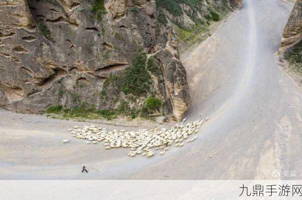 烟雨江湖探秘，沂漠石林位置全解析