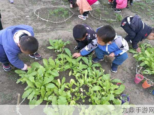 吴他快种萝卜，完美种植之旅