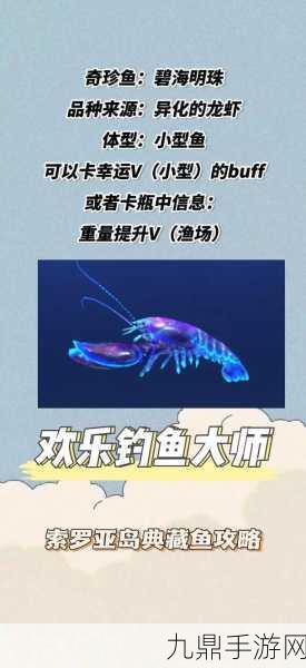 欢乐钓鱼大师账号注销全攻略，轻松告别游戏世界