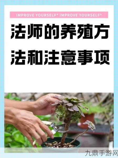 奇幻之旅，揭秘法师植物的种植秘籍