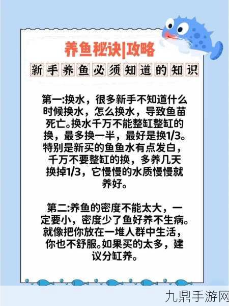 沙石镇时光鱼塘深度解析，用途与养鱼秘籍