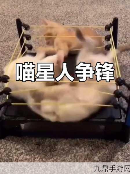 萌宠对决，猫与狗，谁才是声音界的王者？