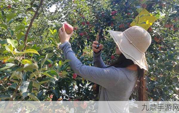 昭通鲁甸科技新飞跃，无人机助力苹果园，手游玩家也能感受防雹网智慧魅力