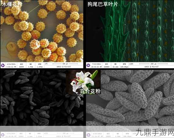 科技与游戏碰撞，中国造冷场台式电镜引领新纪元，手游世界如何共鸣？