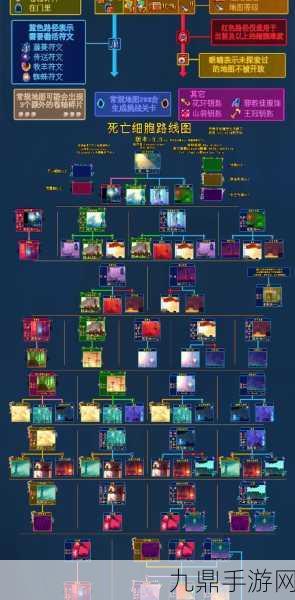 重生细胞深度探索，墓穴钥匙全路径揭秘与高效获取秘籍