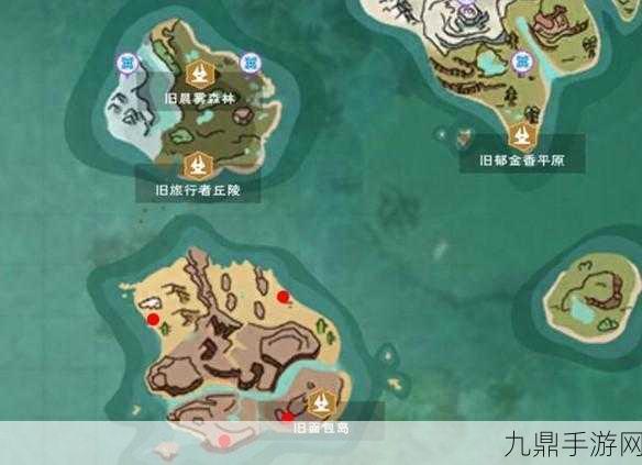 创造与魔法海龟饲养全攻略，揭秘海龟饮食习性