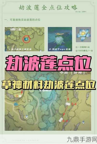 原神玩家必看，薙草之稻光突破材料全攻略