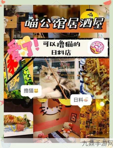 治愈与刺激并存，猫咪公馆等你来