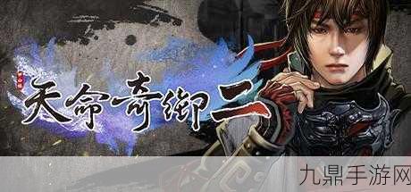 天命奇御2Steam售价详解，武侠迷不容错过的盛宴