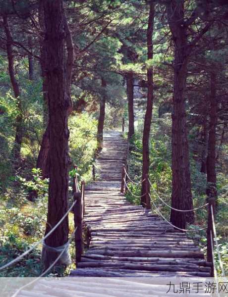 妄想山海松树寻觅全攻略，揭秘那些松林密布的宝藏地