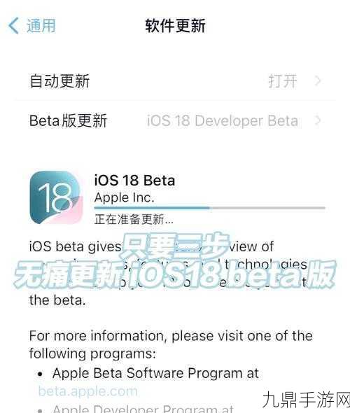 iOS 18新特性揭秘，手游玩家如何隐藏敏感程序，守护隐私安全