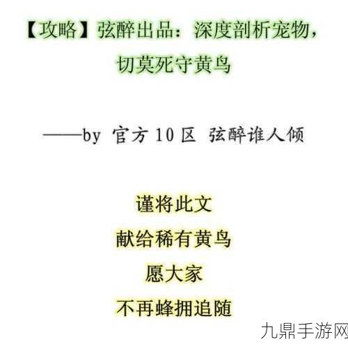 诛仙手游黄鸟技能选择全攻略