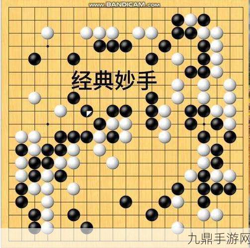 天命奇御2围棋秘籍，解锁棋局深层奥秘，迈向围棋大师之路