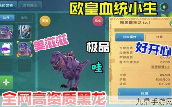 创造与魔法，速通开箱秘籍，解锁你的冒险新篇章