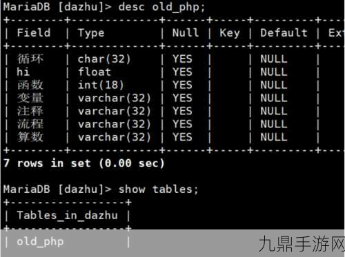 Mairadb连接数查询，手游玩家的数据库管理秘籍