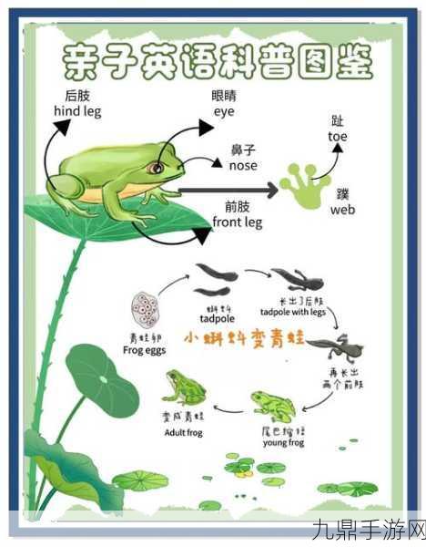 超级蝌蚪进化，一场妙趣横生的吞噬之旅