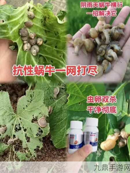 探索最强蜗牛信仰之路，绿色贵重物品全揭秘