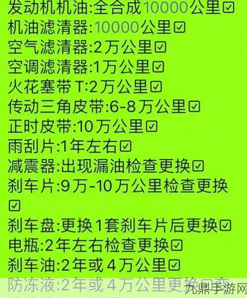 燃油VS电动，老司机带你解锁爱车长寿秘籍与购车新攻略！