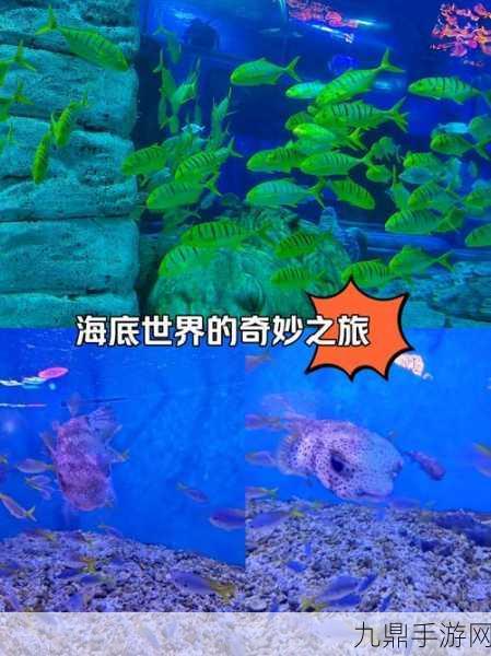 我的世界，探索海底奥秘，揭秘海晶沙粒与海晶碎片的获取之道