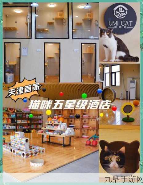 畅玩猫咪酒店，尽享休闲放置乐趣