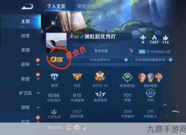 王者荣耀星会员等级深度探索，一键解锁等级查询秘籍