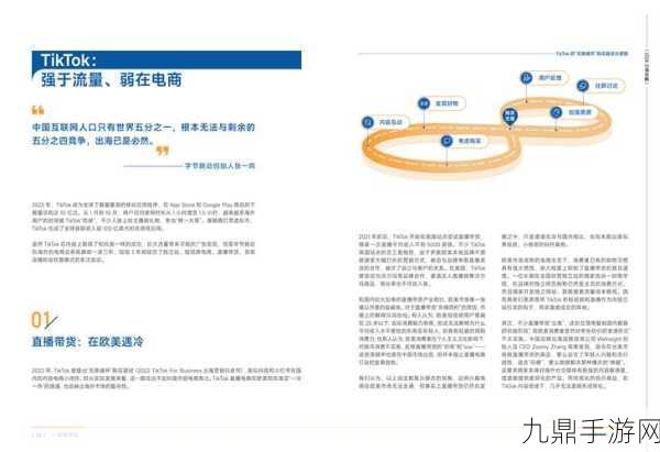 跨境电商启示录，手游玩家的全球化征途与本土策略