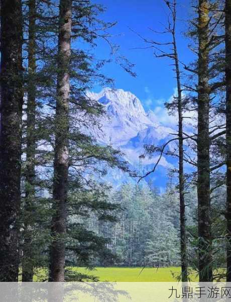 妄想山海探险指南，揭秘雪山之旅