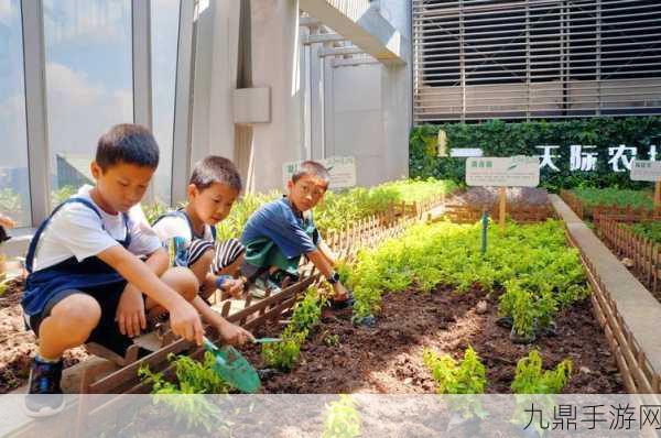 探索家庭农场探险，开启温馨活力农场之旅