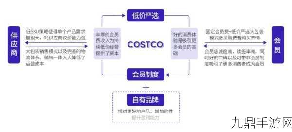 中古车商，安卓版的独特魅力与经营秘籍