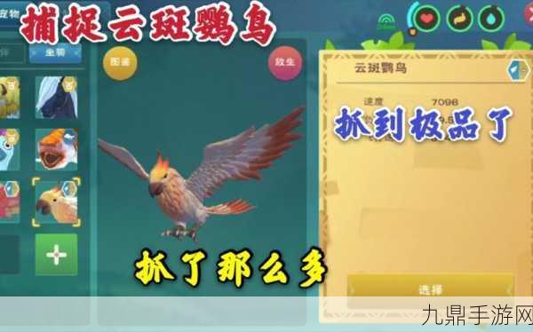 云斑鹦鸟饲料保底揭秘，创造与魔法的驯服秘籍