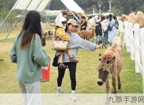 吉祥生肖，趣味农场经营之旅