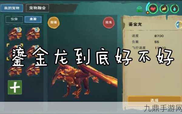 揭秘！创造与魔法开鎏金龙礼盒的高效攻略